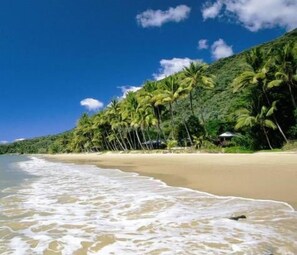A beach with palm trees and a clear sky. - Ellis Beach Oceanfront Bungalows (Ellis Beach)