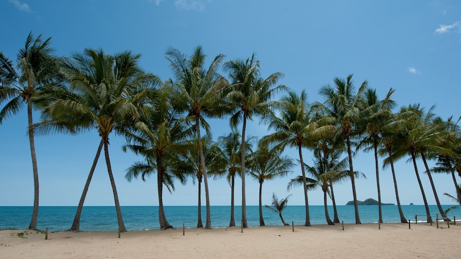 Ellis Beach Oceanfront Bungalows