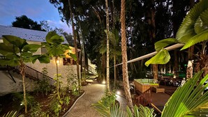 A pathway leading to a building surrounded by tropical vegetation. - The Reef Retreat (Palm Cove)
