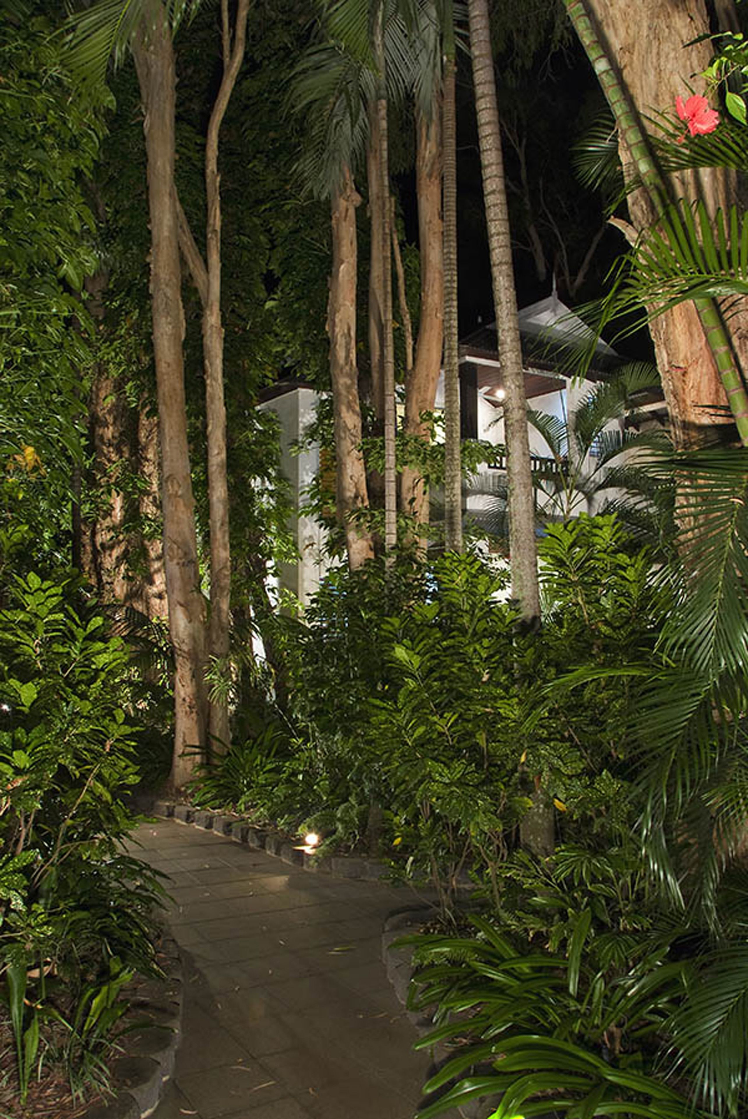 The Reef Retreat — image 24