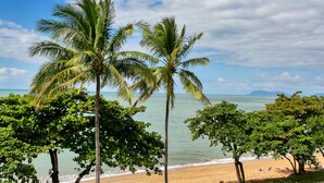 A beach with palm trees and a view of the ocean. - Beachfront Apartments on Trinity Beach (Trinity Beach)
