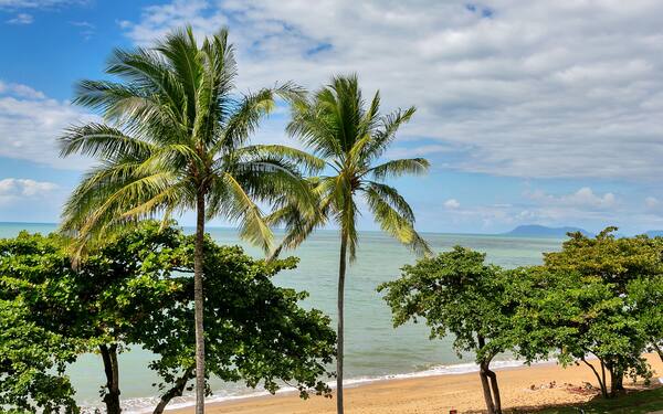 Beachfront Apartments on Trinity Beach