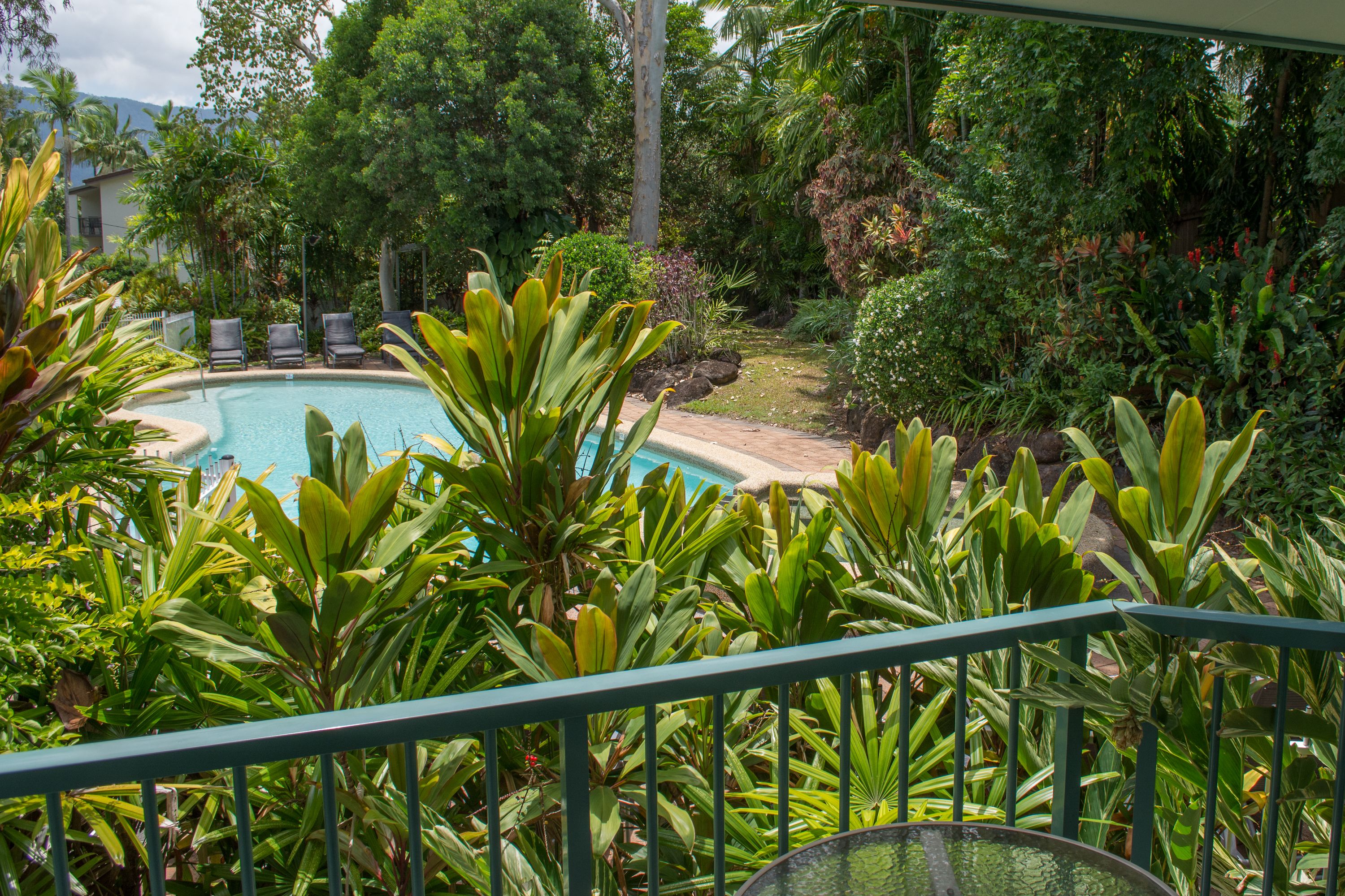 A pool surrounded by lush greenery, with a view of a building in the background.