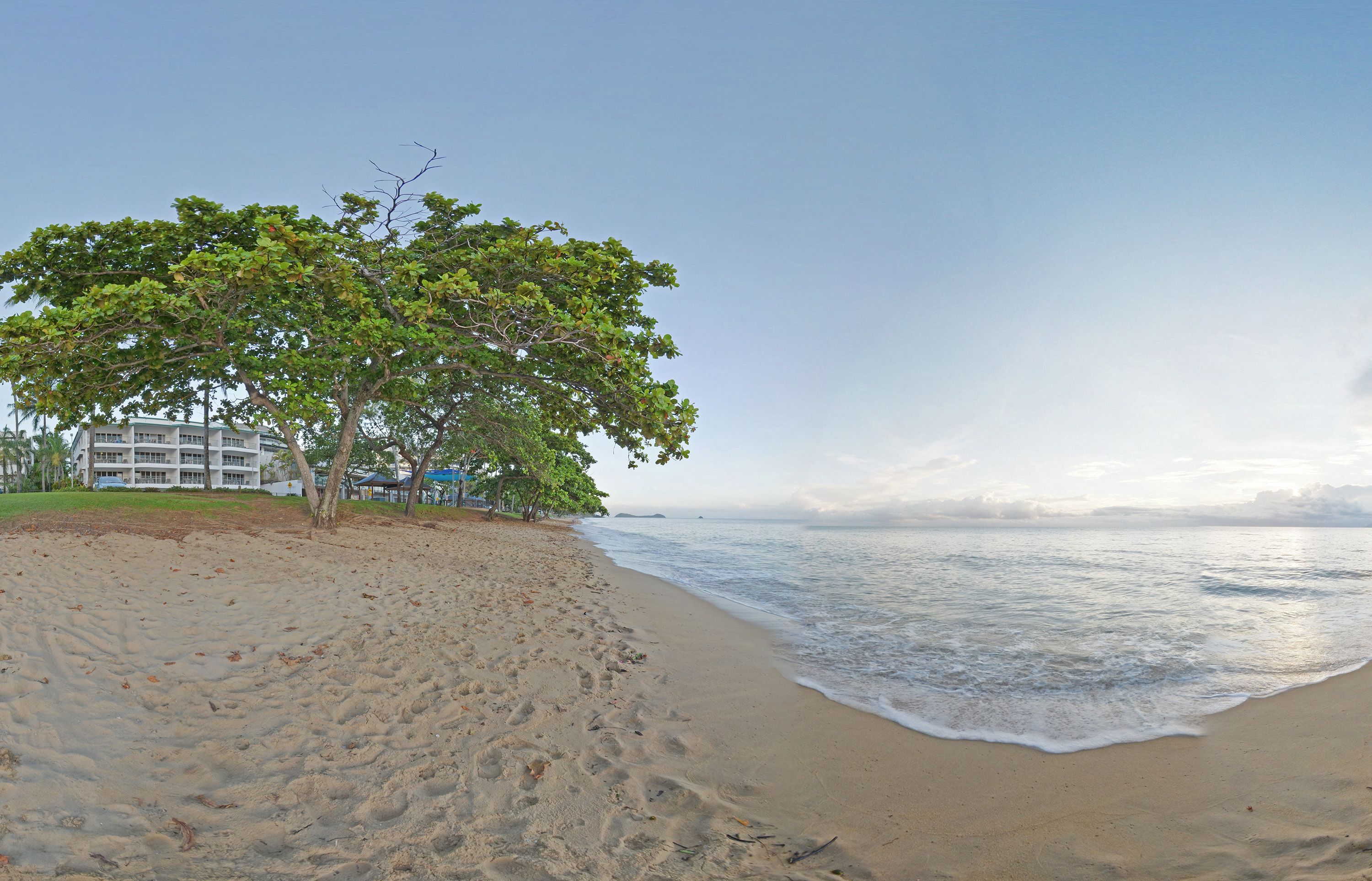A beach with a tree and a building in the background.