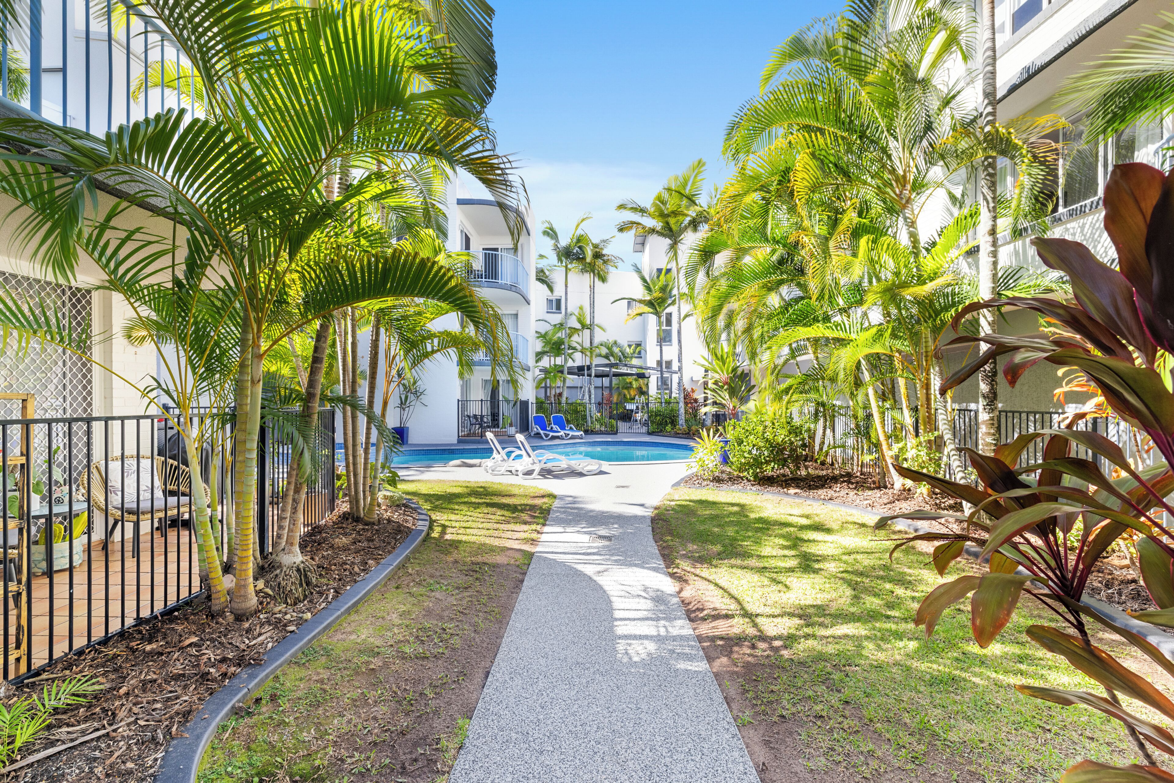 Outdoor pool, sun loungers
