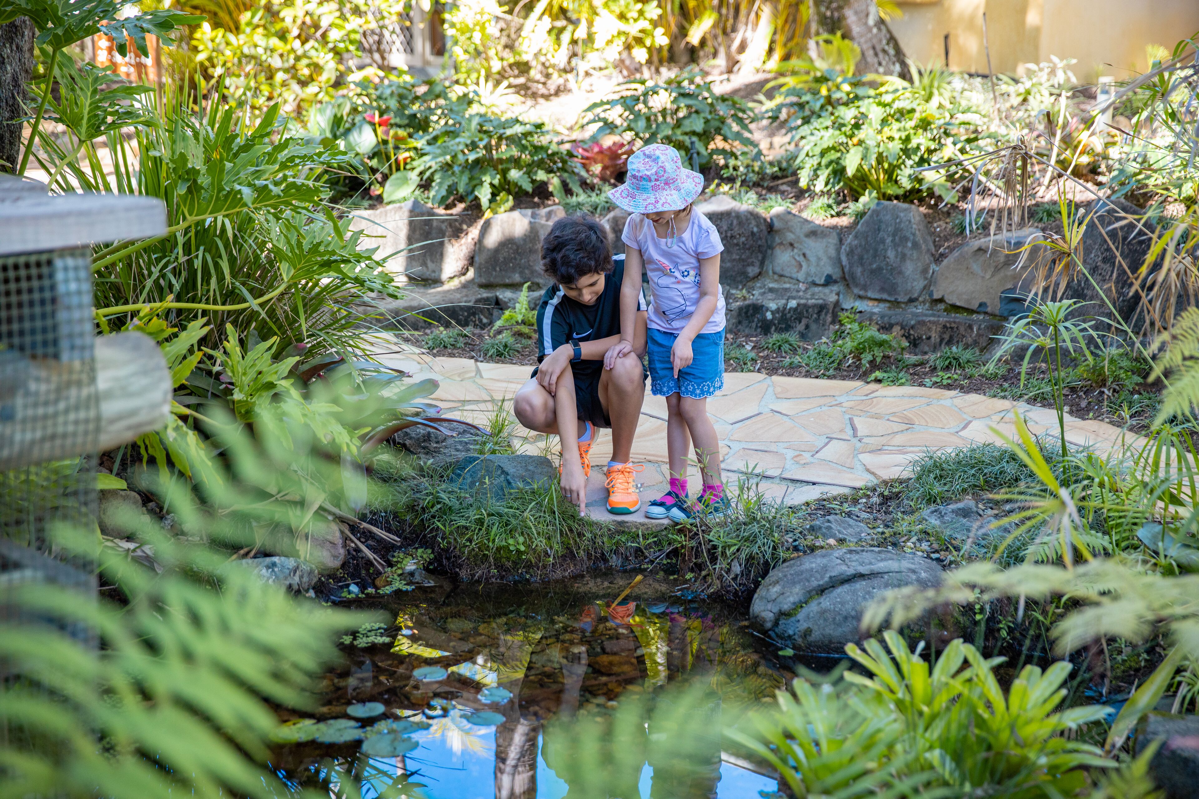 A garden with a small pond, rocks, and various plants.