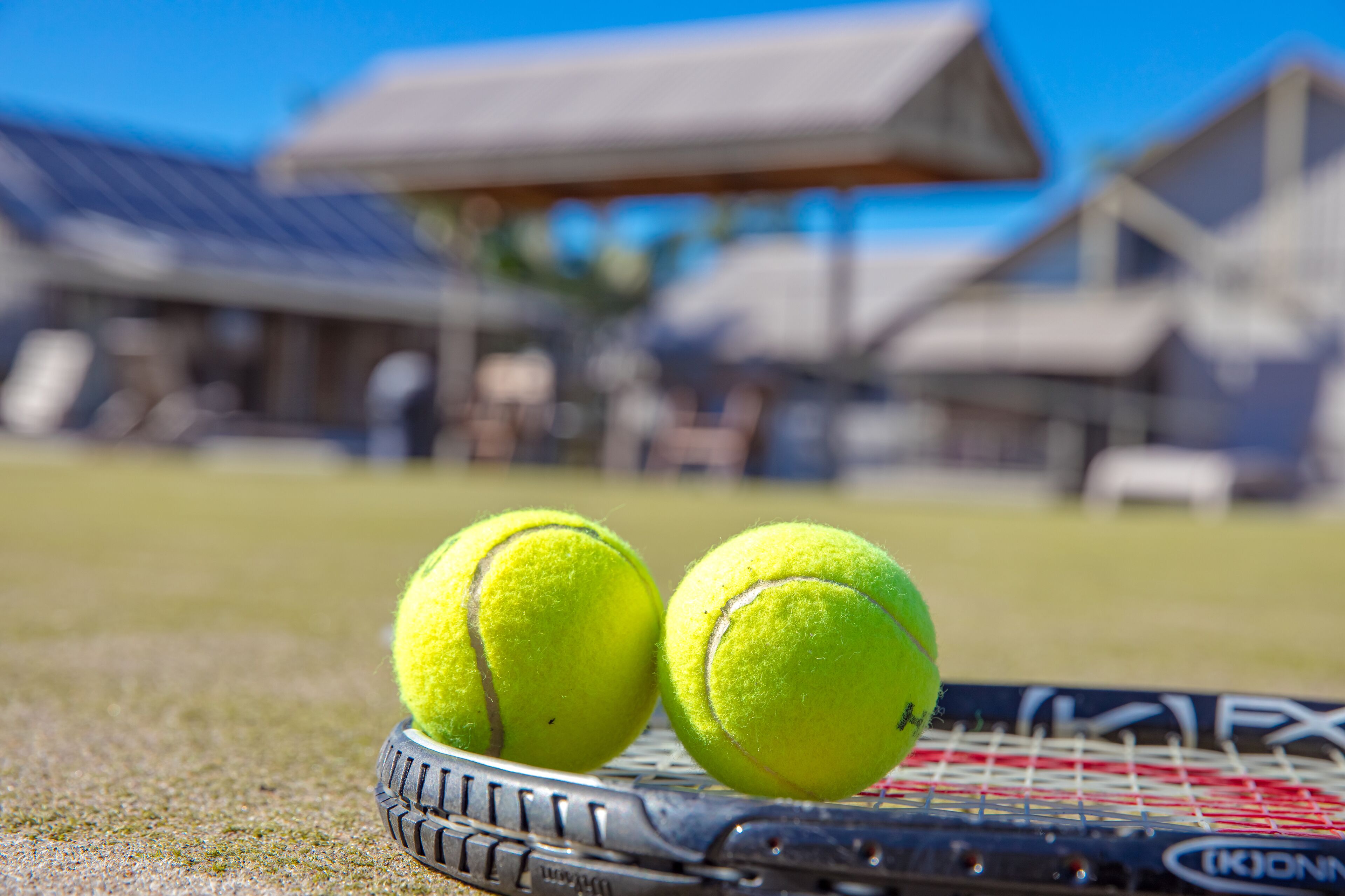 Una raqueta de tenis con dos pelotas sobre una cancha de césped.