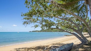 A beach with a boat labeled "MLO73Q" under a tree, clear blue water, and a distant island. - Sails On Horseshoe (Horseshoe Bay)