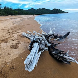 Playa en los alrededores y toallas de playa