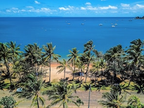 Una playa con palmeras y barcos en el agua.