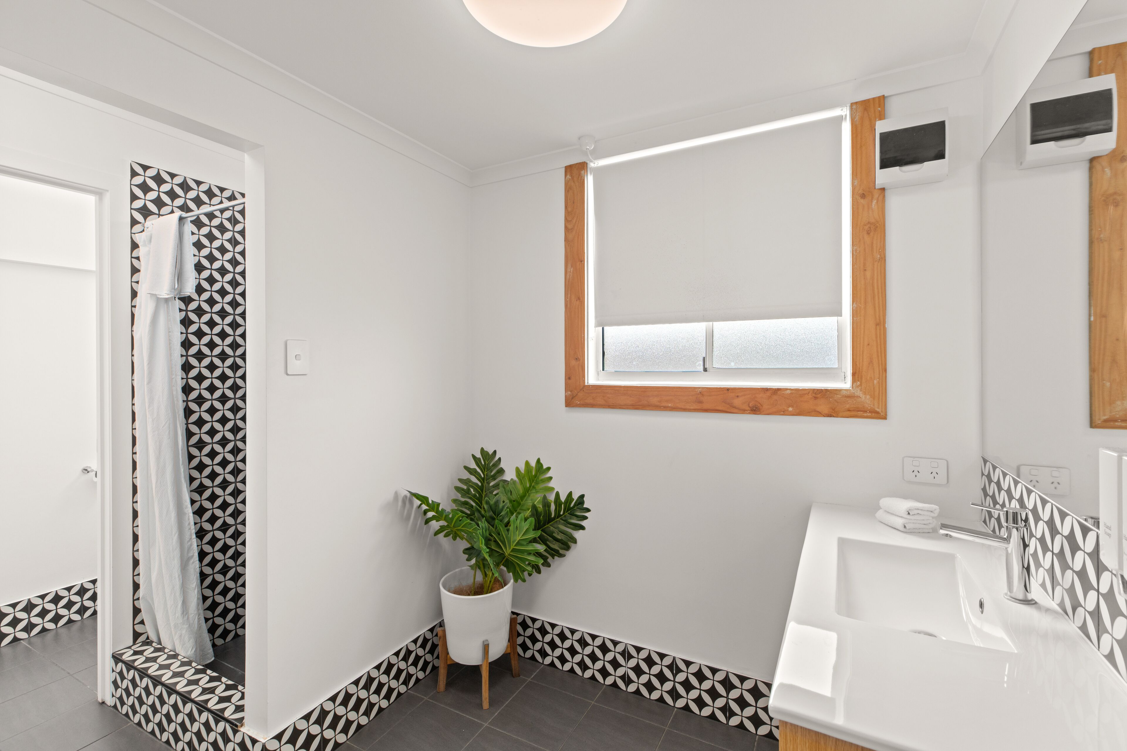 Een badkamer met een douche, een wastafel, een plant in pot en een raam.