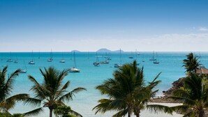 Vista costera con numerosos veleros en aguas turquesas, palmeras y una montaña distante.