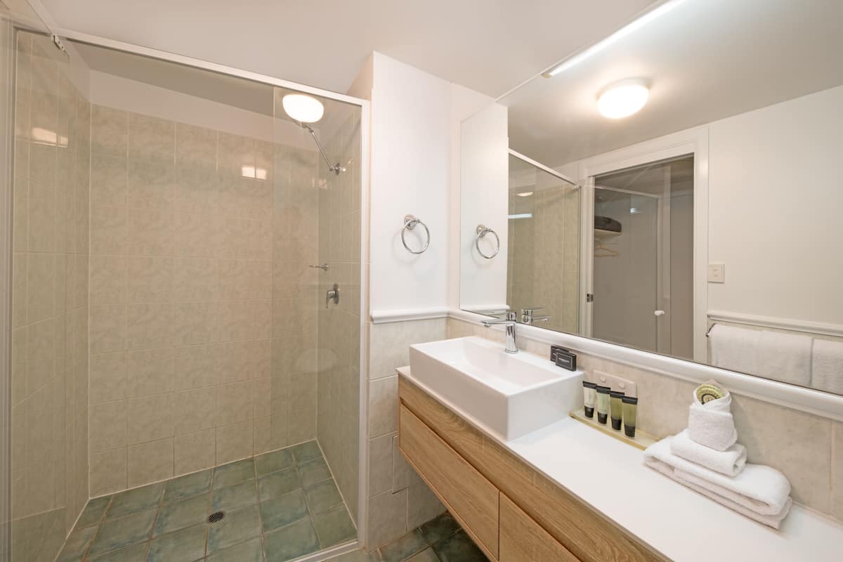 combined shower/bathtub, designer toiletries, hair dryer, towels