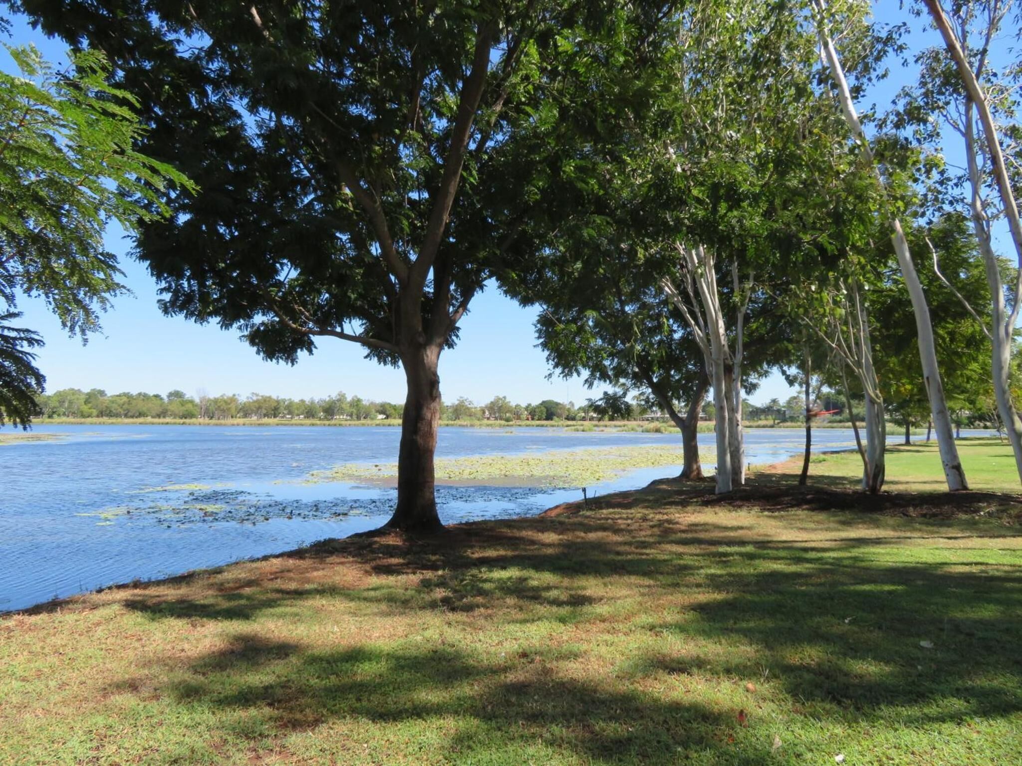A serene lakeside park with trees and a clear view of the water.