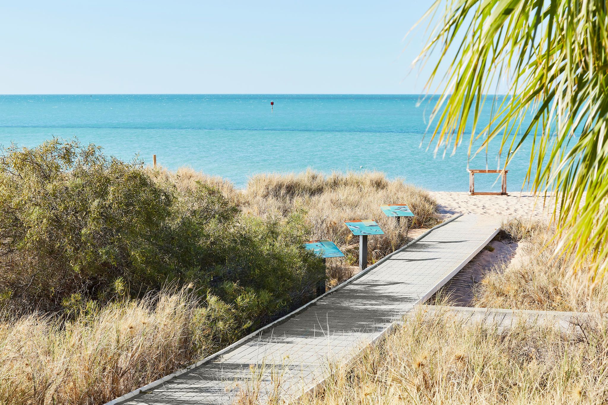 A pathway leading to a beach with a wooden bench and a small structure, surrounded by dry grass and bushes.