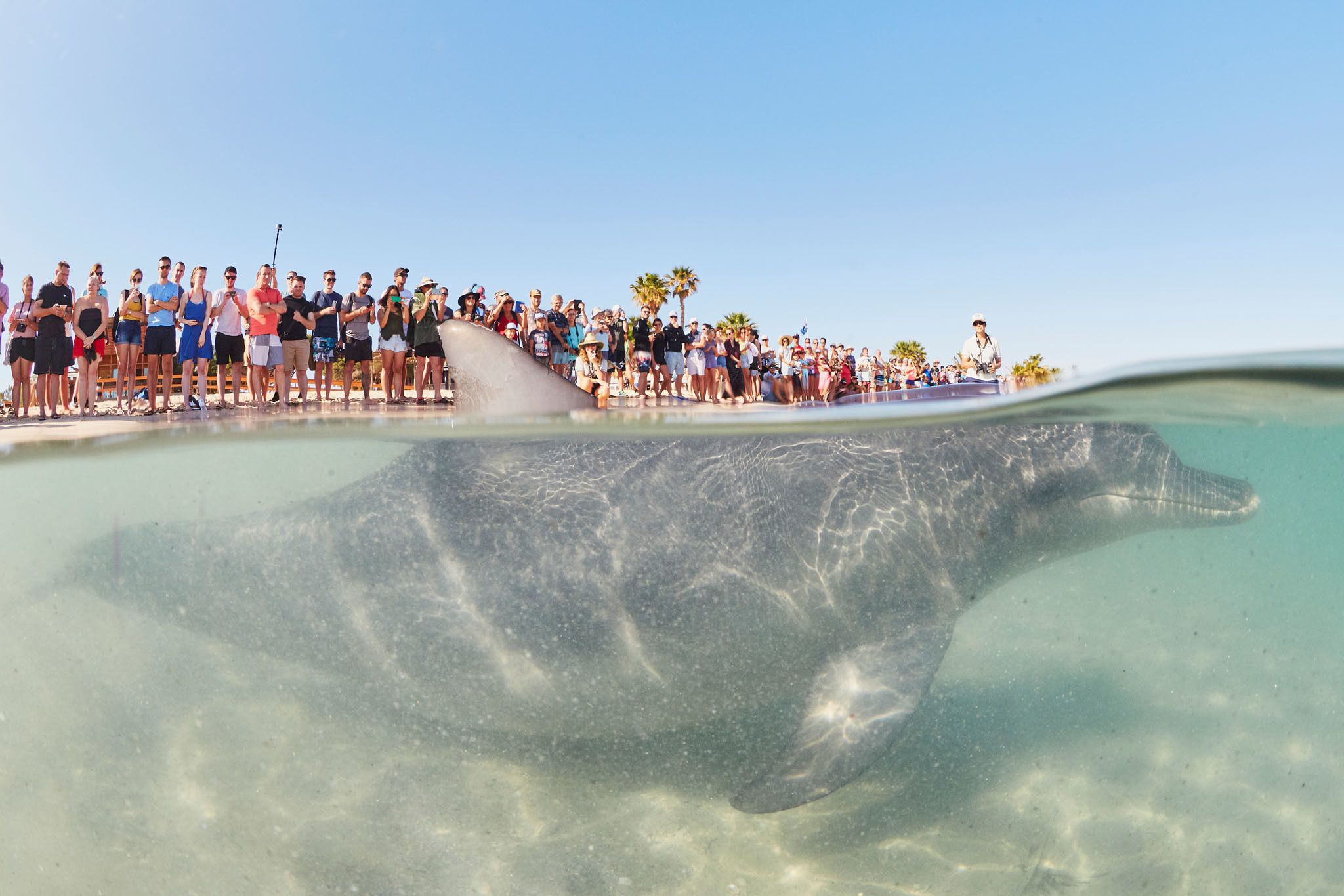 on the beach, beach towels, snorkelling, kayaking