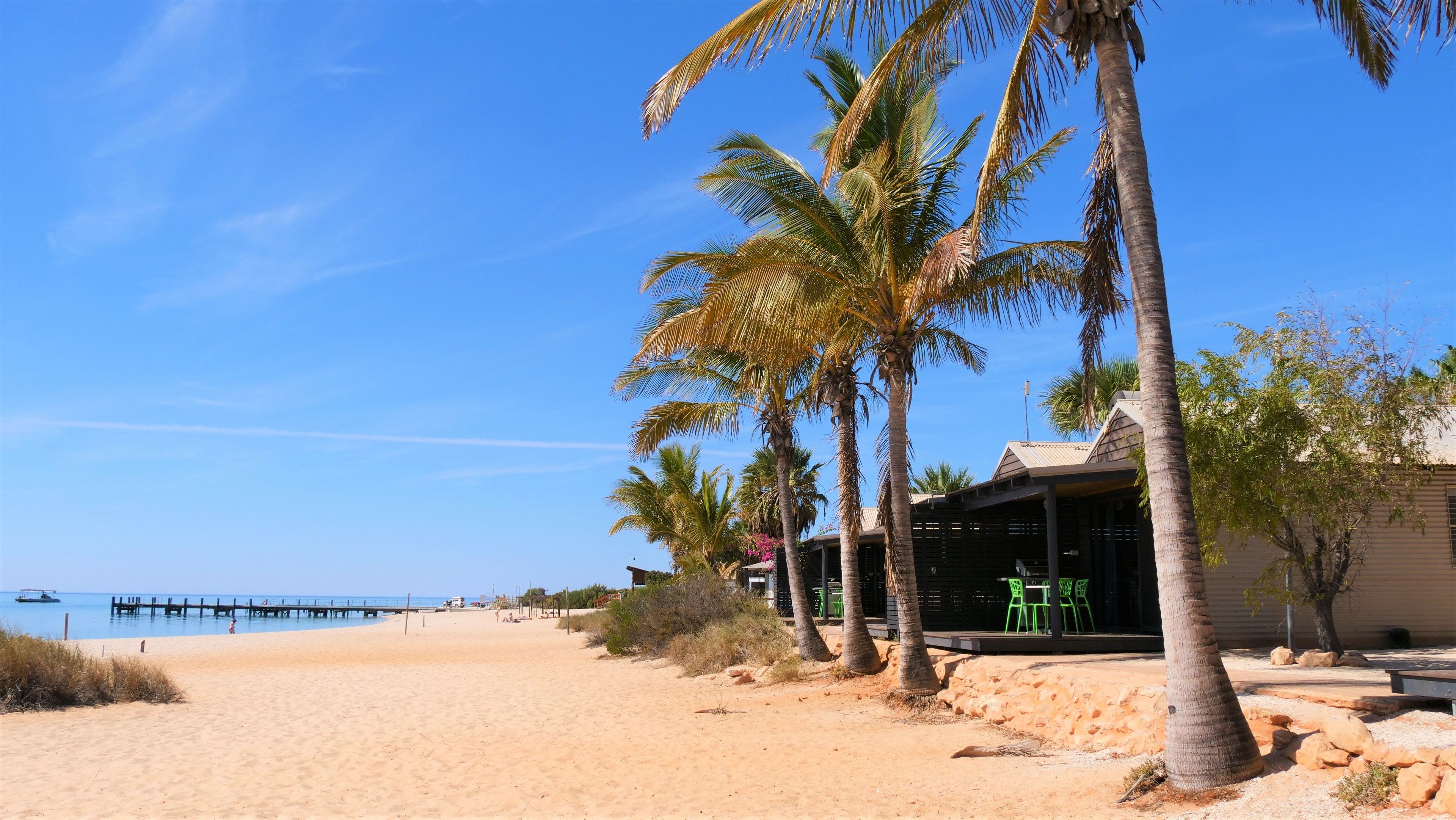 A beach with palm trees, a wooden building with outdoor seating, and a pier in the background.