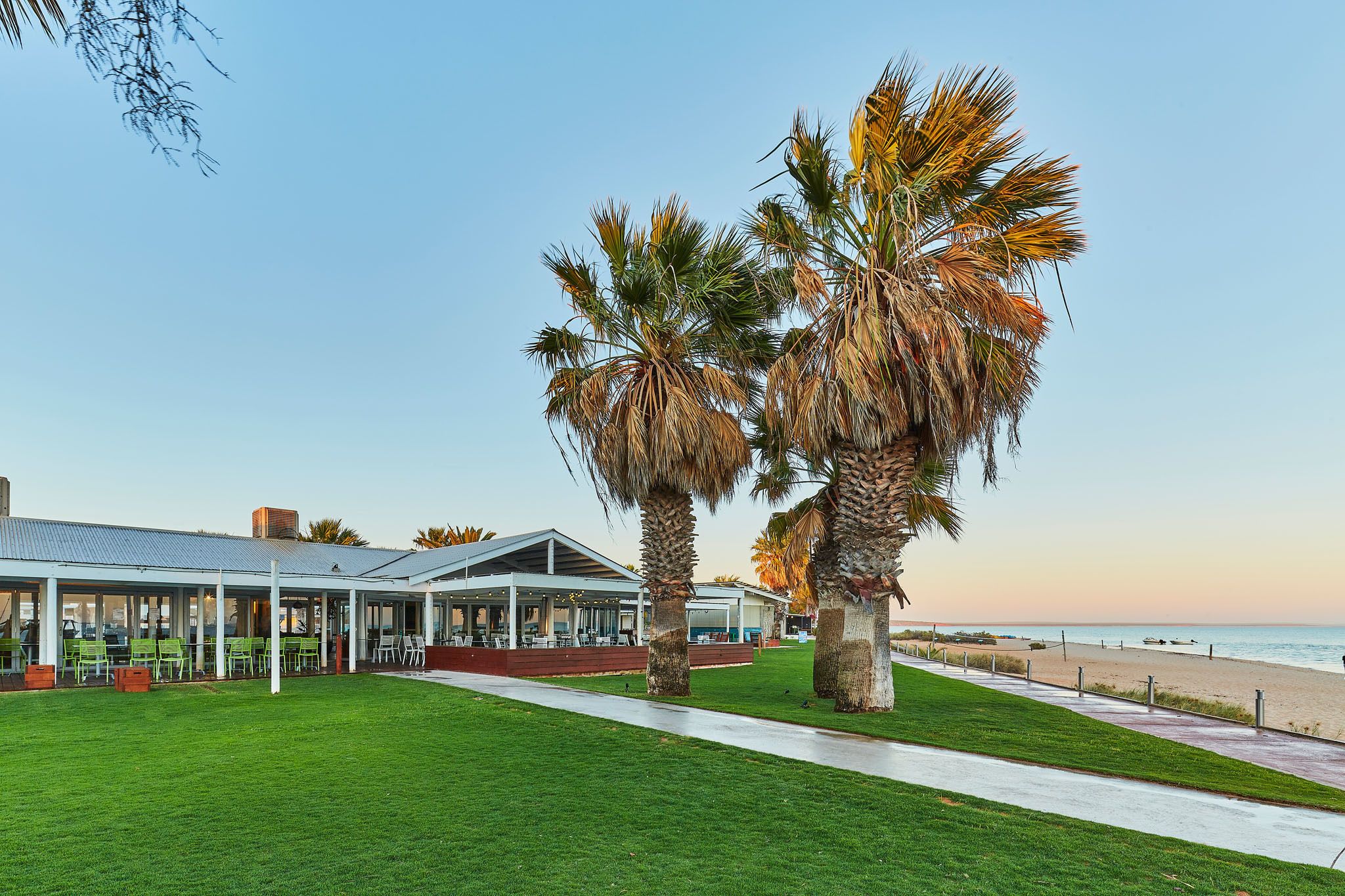 A beachfront restaurant with outdoor seating, palm trees, and a view of the ocean.