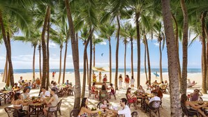 Un restaurante frente al mar con terraza al aire libre y sombra de palmeras.