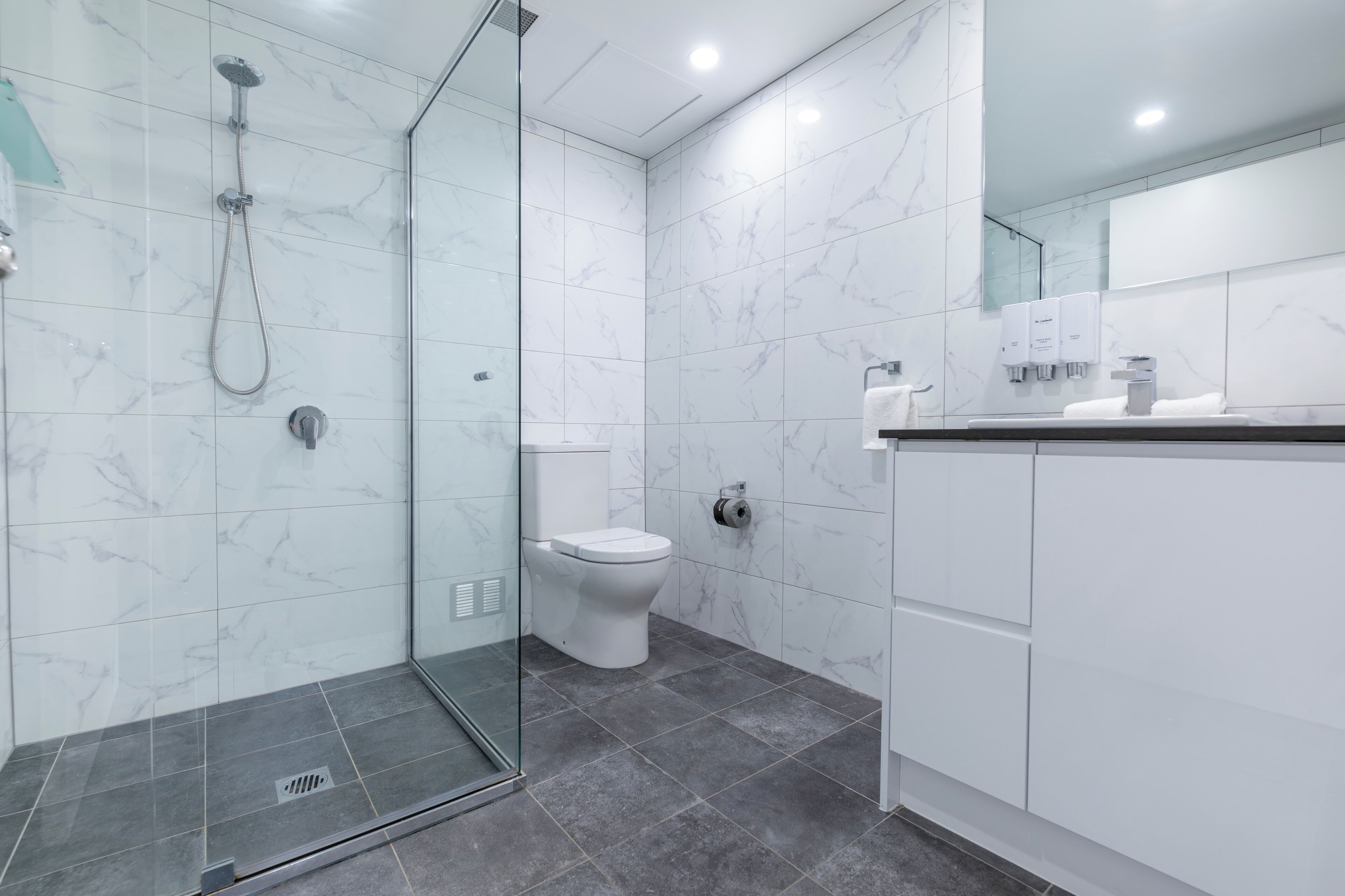A modern bathroom with a glass-enclosed shower, a toilet, and a sink with a mirror above.