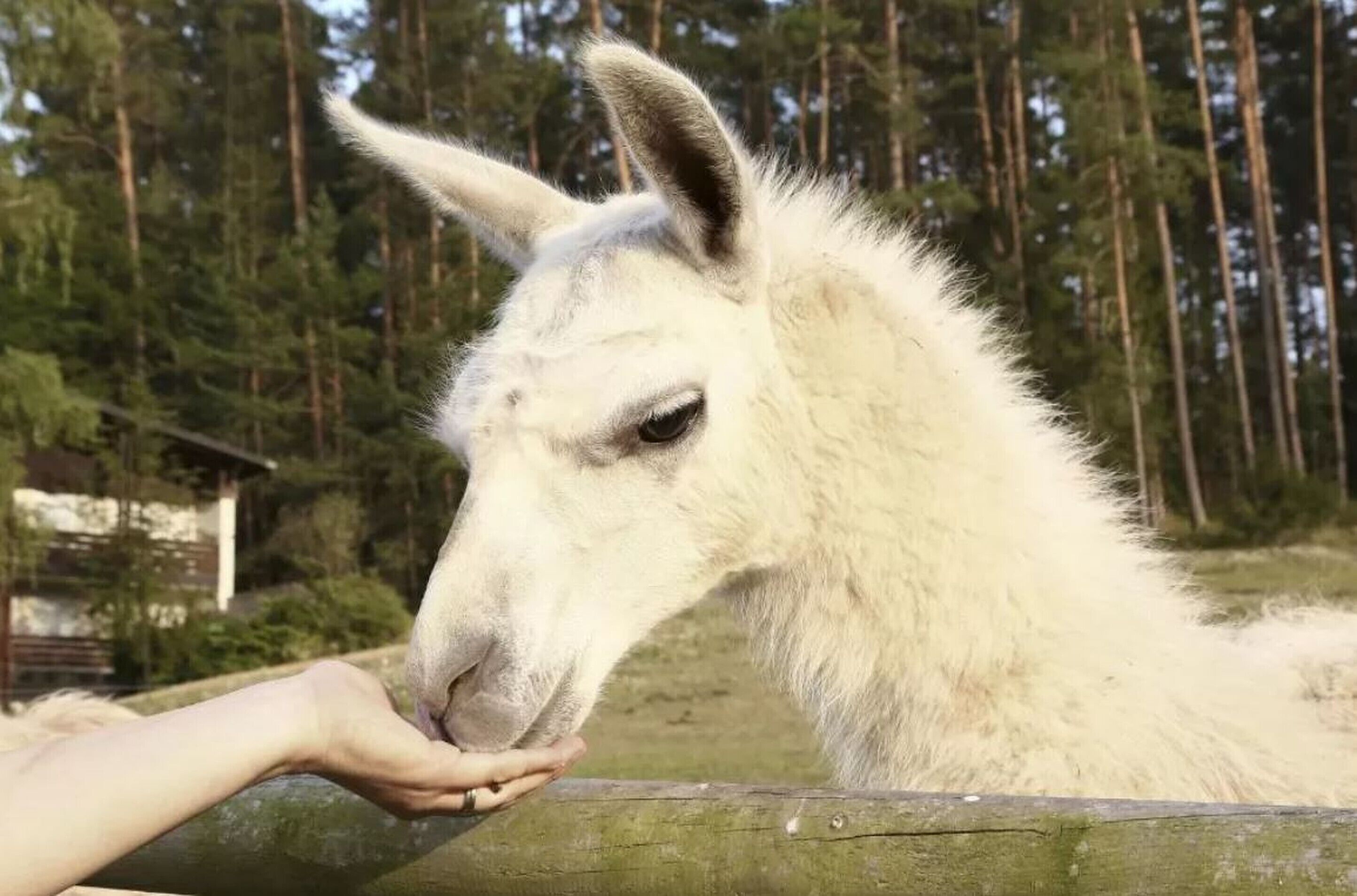 children’s activities