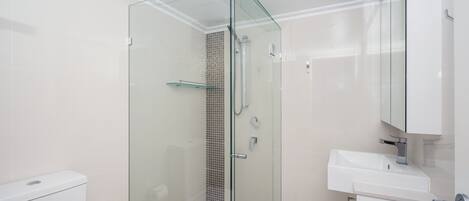 Un baño moderno con ducha de vidrio, un lavabo blanco y un inodoro.
