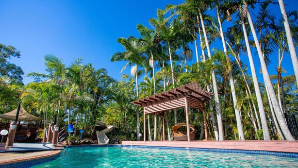 Ein Swimmingpool mit klarem, blauem Wasser, umgeben von hohen Palmen und einer Holzpergola mit einem Korbstuhl.