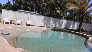 Una piscina limpia con borde curvo, rodeada por una valla blanca y una palmera al fondo.