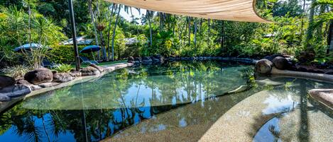 Outdoor pool, sun loungers