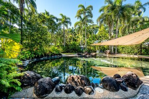 A tranquil pool surrounded by lush greenery and rocks. - Eco Village Mission Beach (Mission Beach)