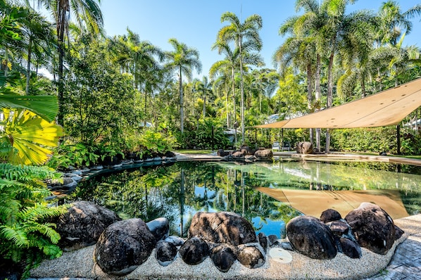 Outdoor pool, pool loungers