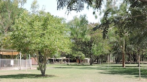 A fenced outdoor area with trees and a covered structure. - Territory Manor Motel & Caravan Park (Mataranka)