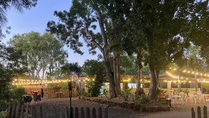 An outdoor seating area with tables and chairs, surrounded by trees and a wooden fence. - Territory Manor Motel & Caravan Park (Mataranka)