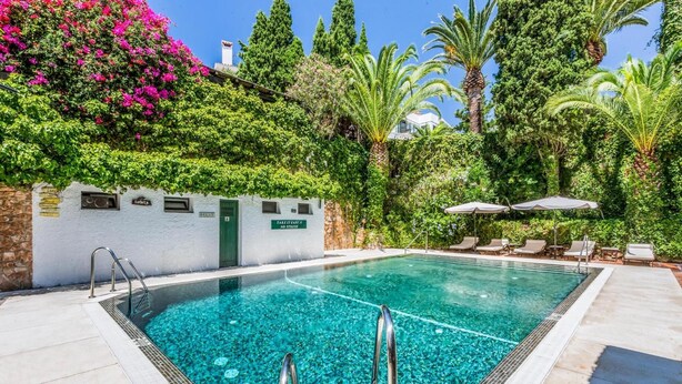 Una piscina azul cristalina con una escalera metálica, rodeada de abundante follaje y palmeras. Se observan sillas de descanso y sombrillas al fondo.