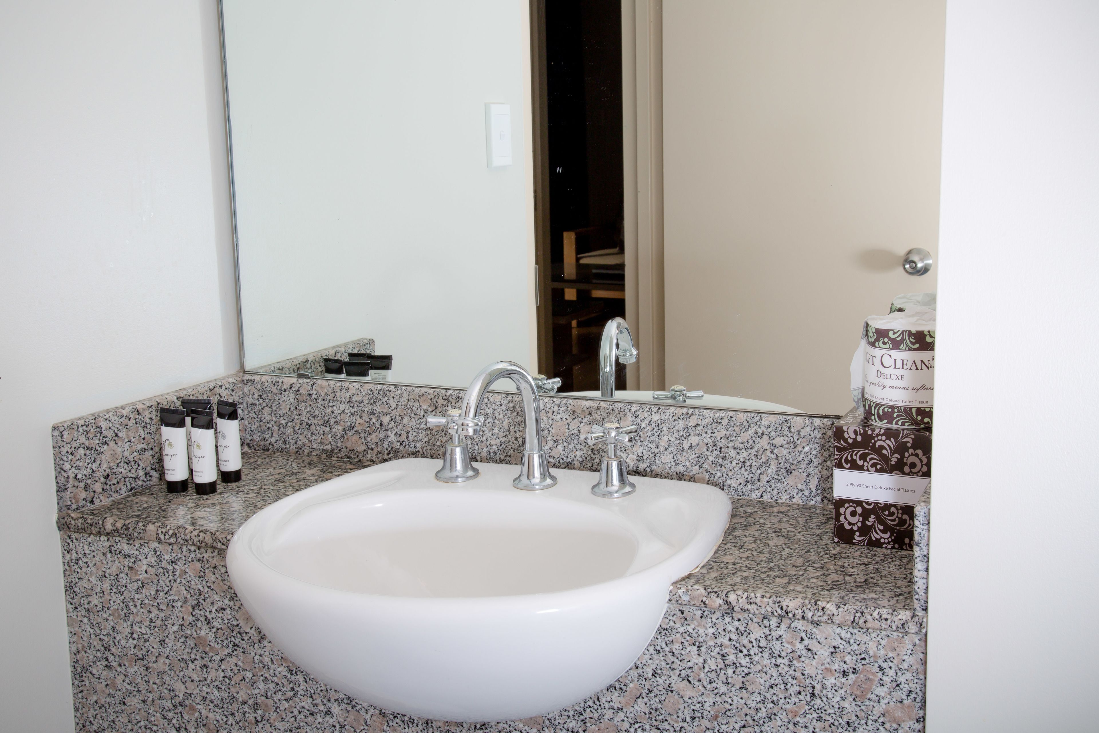 shower, hair dryer, toilet paper