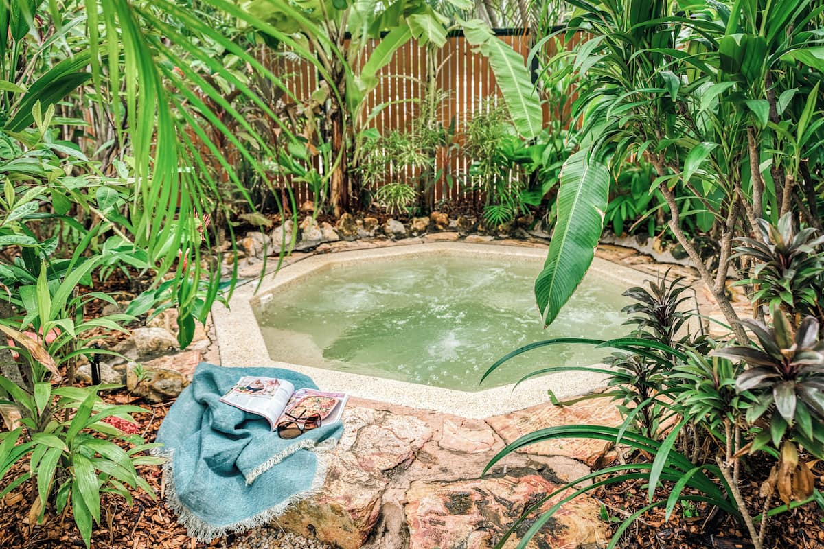 Una pequeña piscina natural rodeada de exuberante vegetación y rocas.