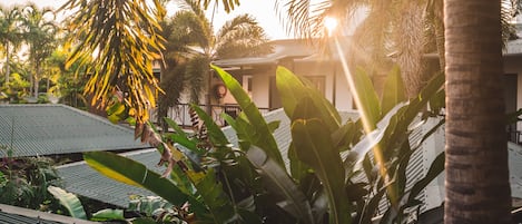 Un resort tropical con palmeras, un edificio con techo de lámina corrugada y un balcón con vistas al jardín.