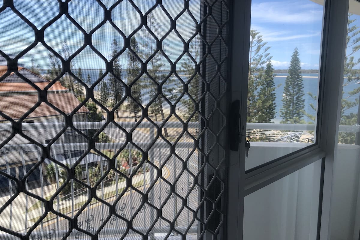 A view through a window with a mesh screen, displaying a street scene with buildings and trees.