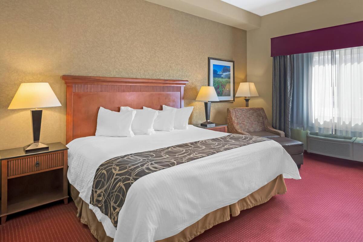 Standard Room, 1 King Bed, Accessible, Non Smoking | Down comforters, desk, blackout drapes, iron/ironing board