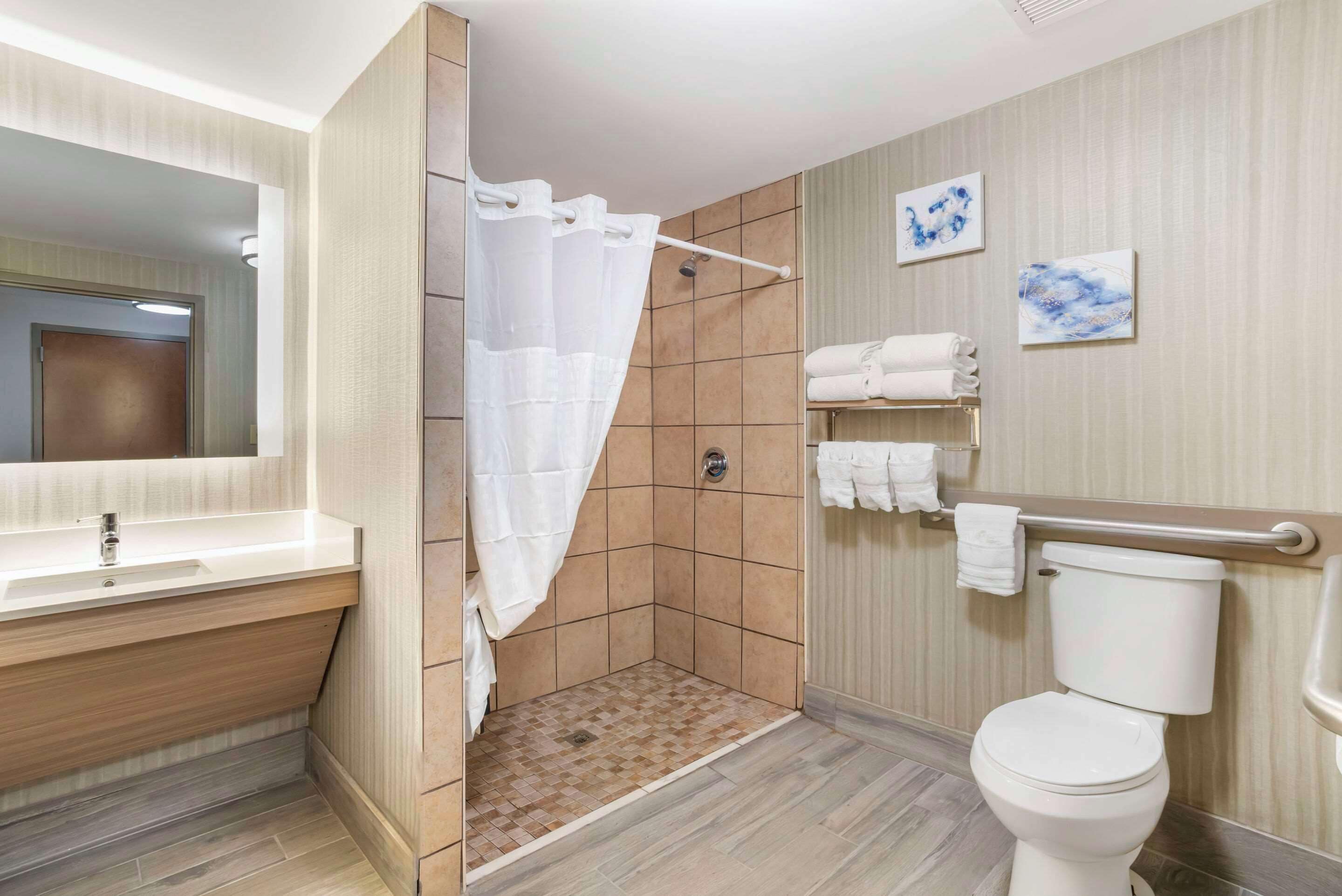 suite, 1 king bed with sofa bed, accessible, non smoking | bathroom | combined shower/bathtub, free toiletries, hair dryer, towels