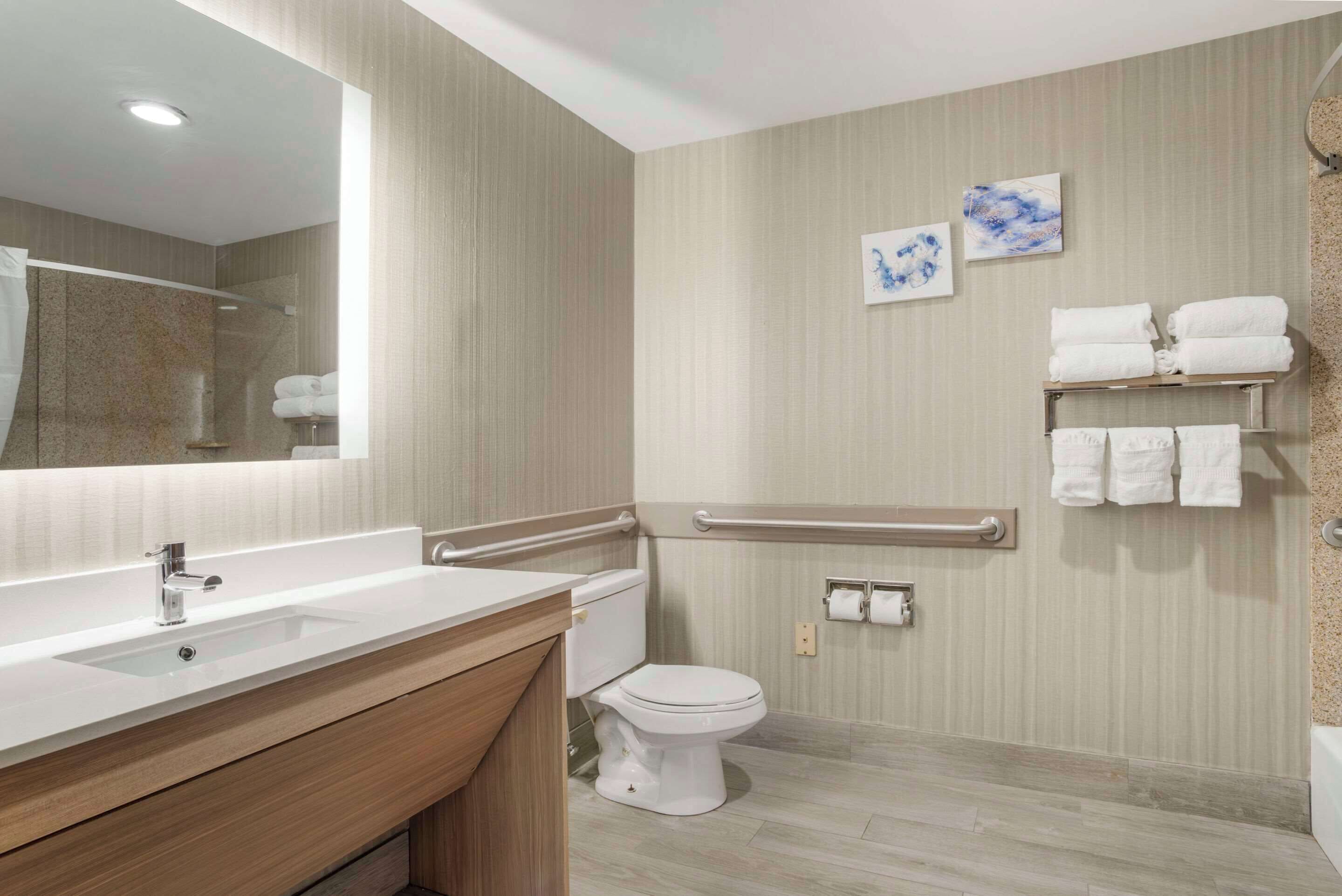 suite, multiple beds, accessible, non smoking | bathroom | combined shower/bathtub, free toiletries, hair dryer, towels