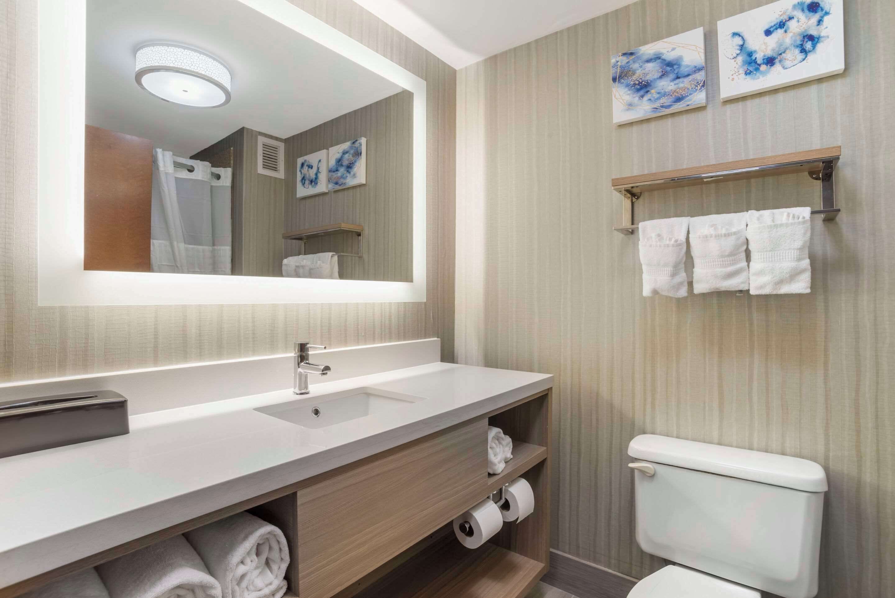 combined shower/bathtub, free toiletries, hair dryer, towels