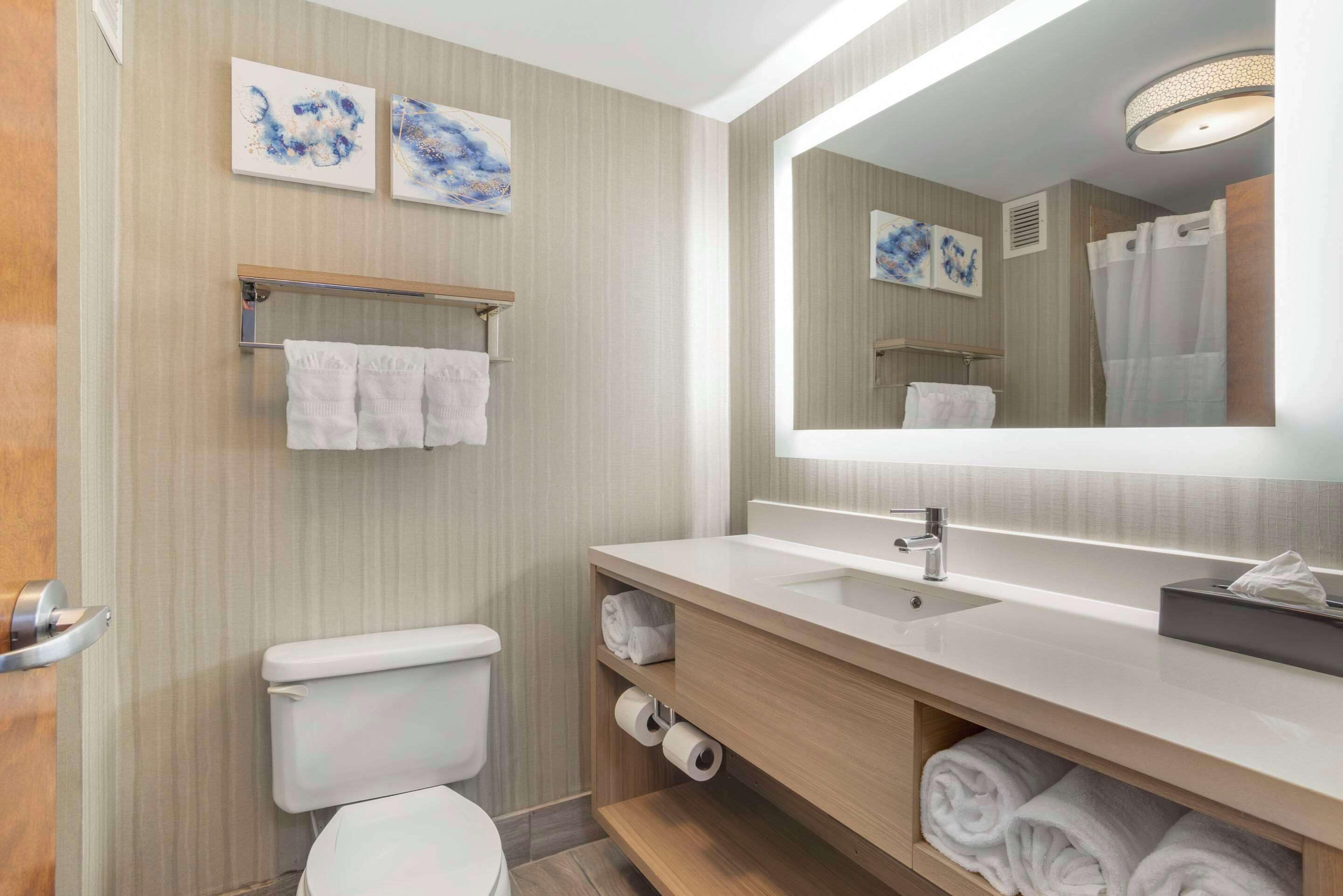 suite, non smoking | bathroom | combined shower/bathtub, free toiletries, hair dryer, towels