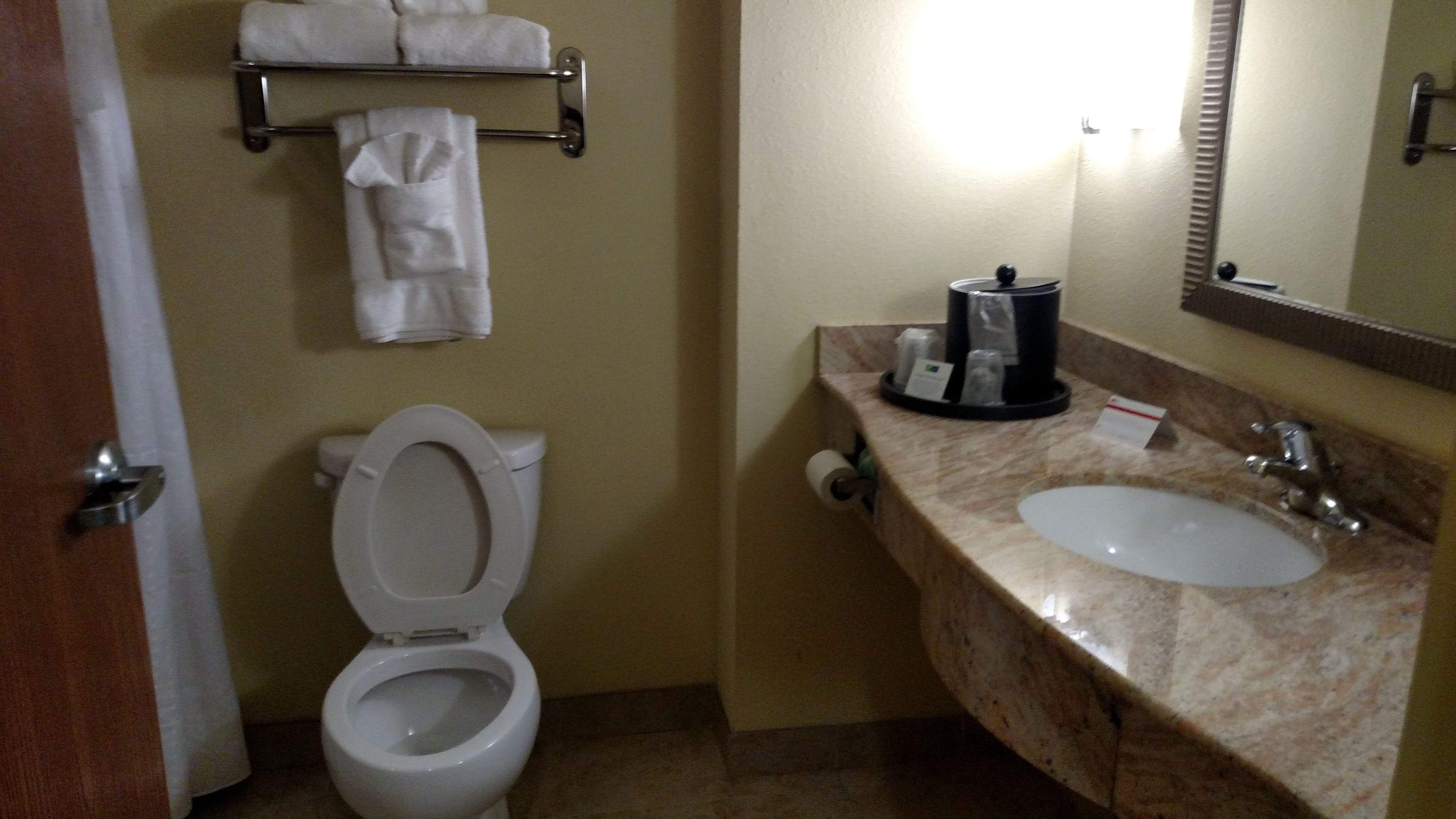 A bathroom with a toilet, sink, and towel rack.