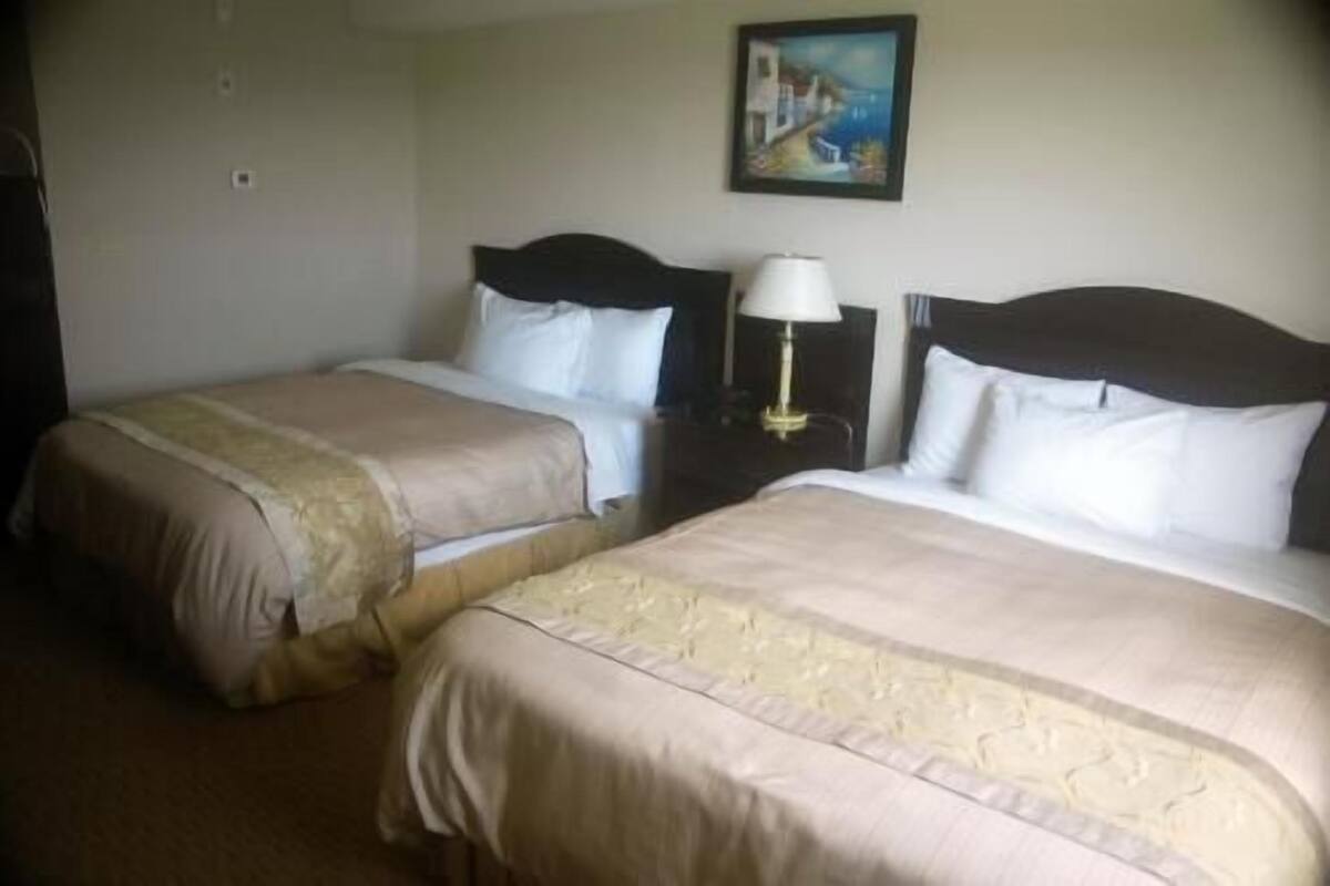 Down duvets, memory-foam beds, desk, soundproofing