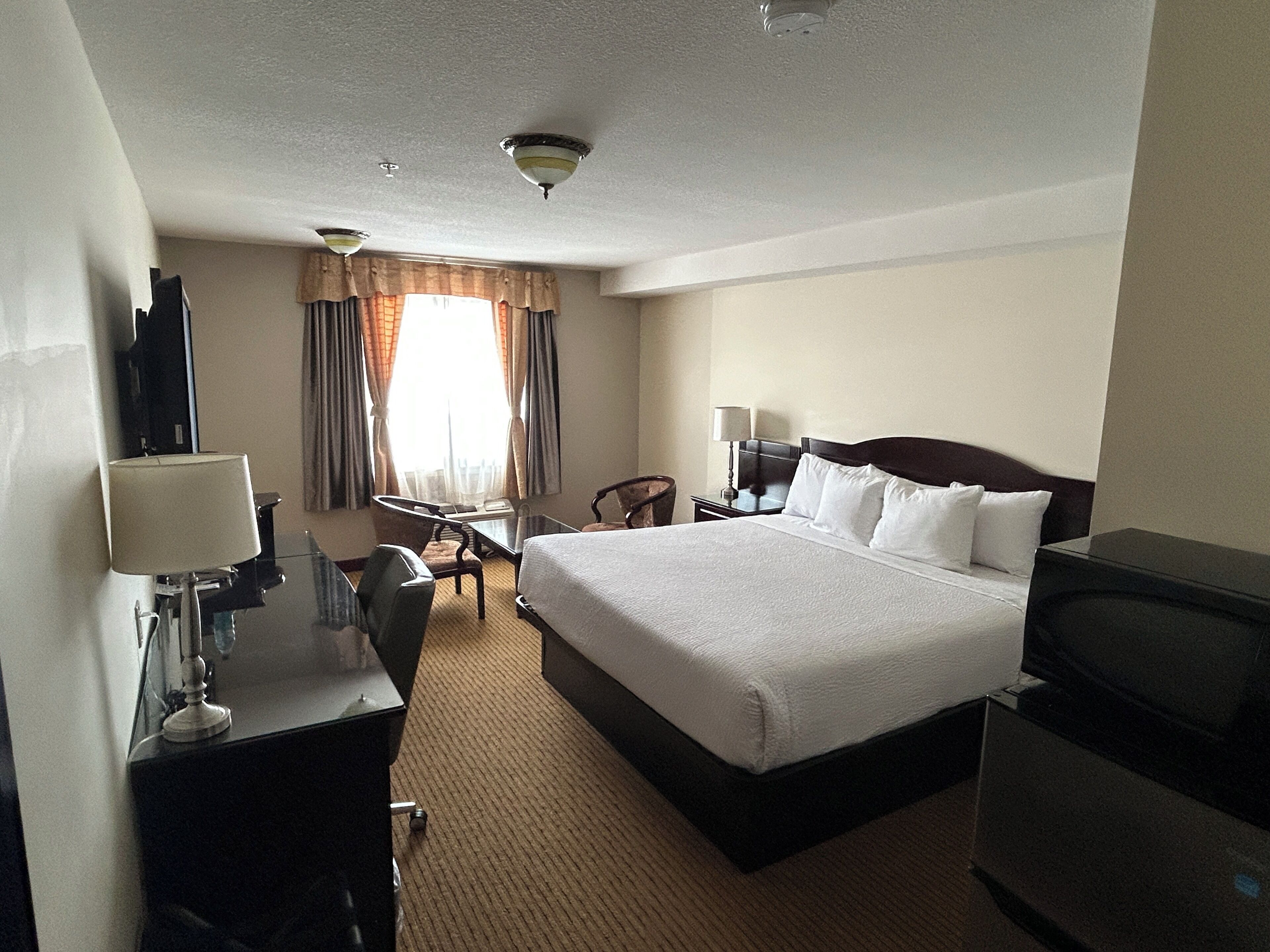 Down comforters, memory foam beds, desk, soundproofing