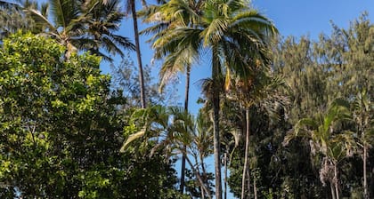 Beaches Port Douglas