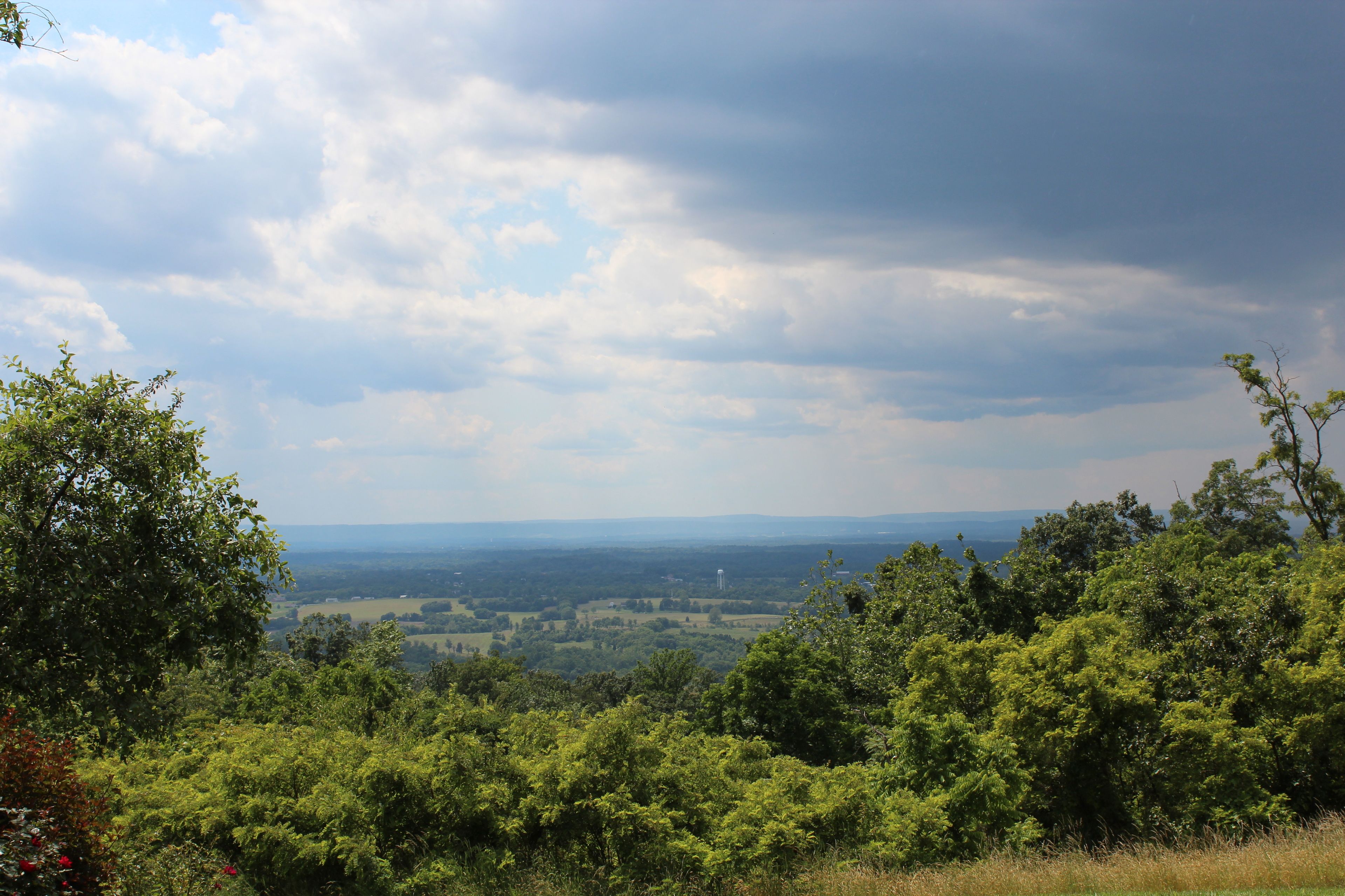A landscape view with dense green foliage and a distant horizon.