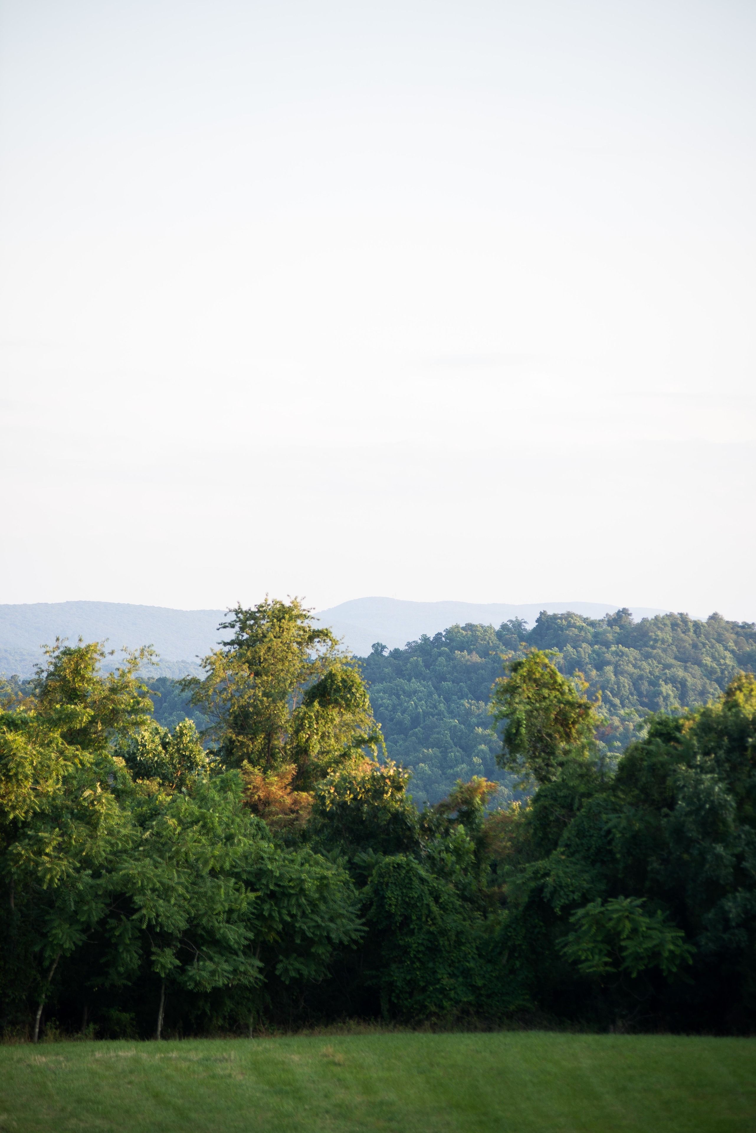 A landscape with a grassy foreground and a forested hill in the background.
