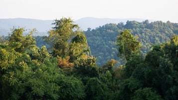 A landscape with a grassy foreground and a forested hill in the background.